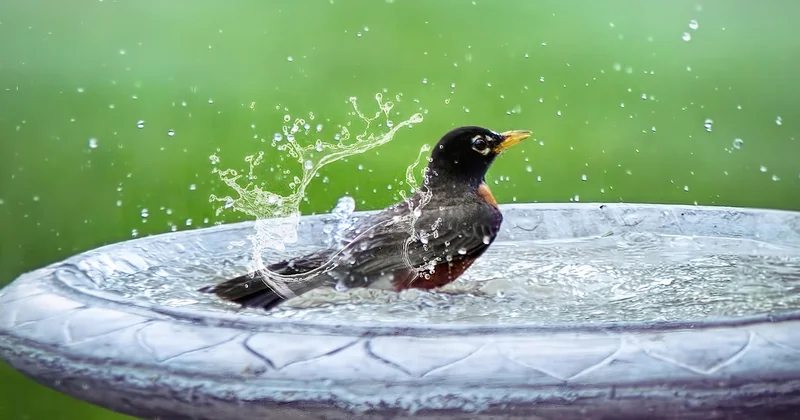 Vérifier l’adaptation des pièces d’eau et de la cuisine